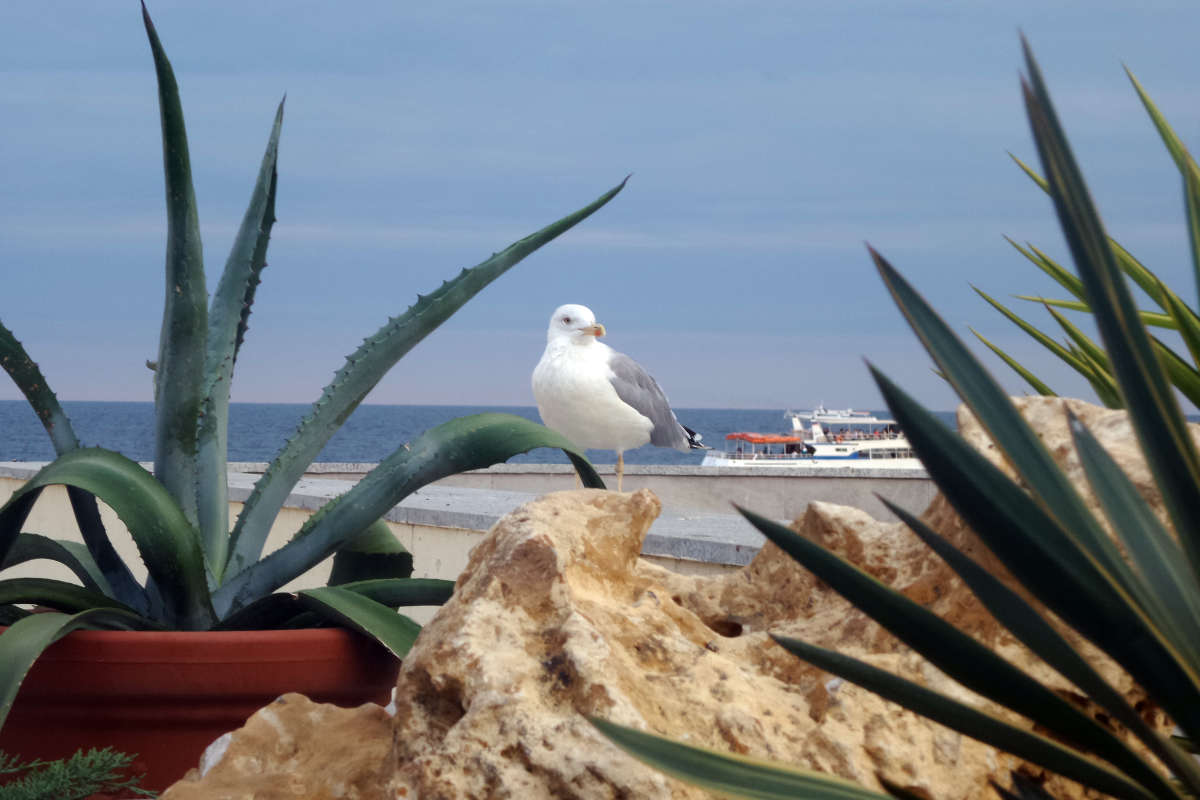 ����� ����� �����  �� PhotoGeek.ru #�������� ���