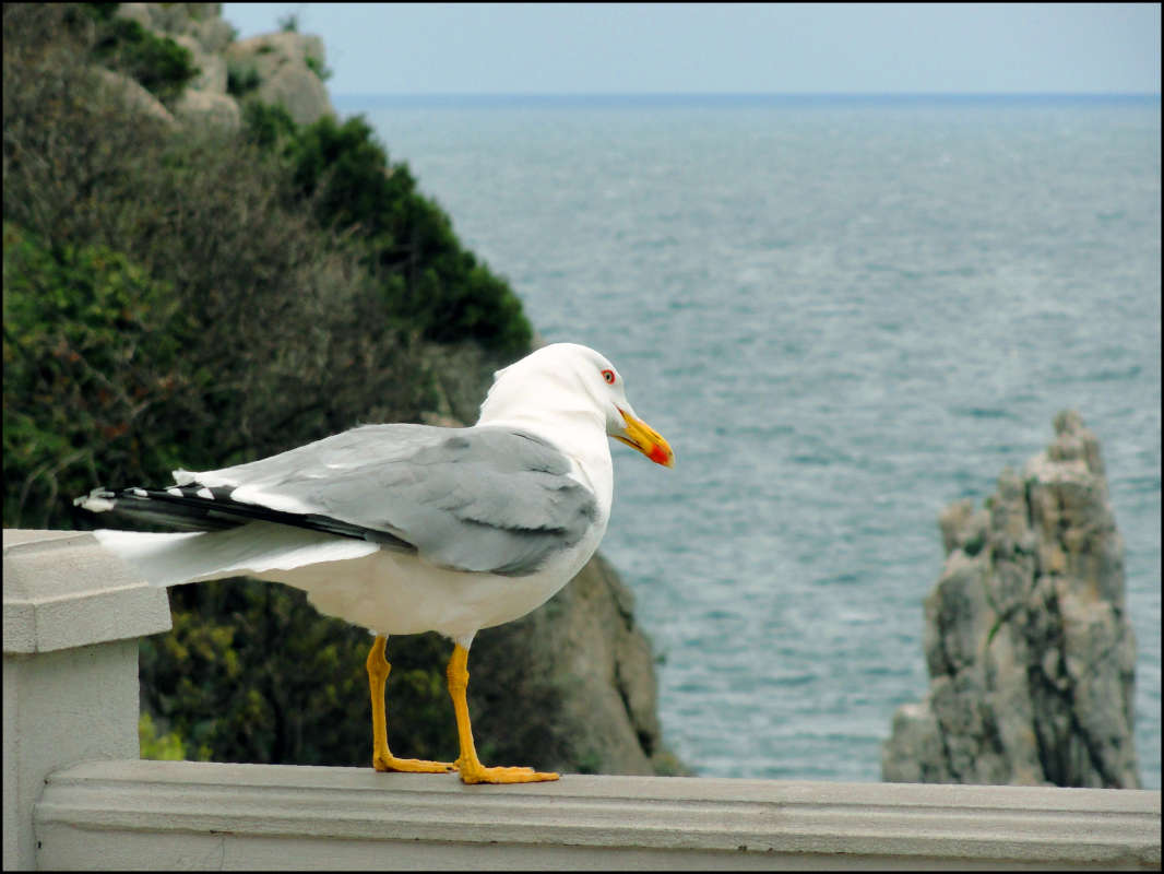 ... ����� �����  �� PhotoGeek.ru #�������� ���