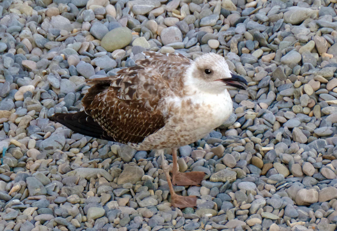 ... ����� �����  �� PhotoGeek.ru #�������� ���