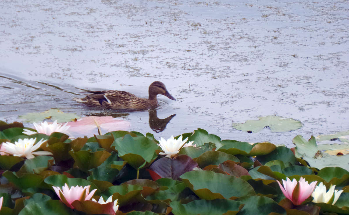 �� ���������� ����� ����� �����  �� PhotoGeek.ru #������ ��� �������