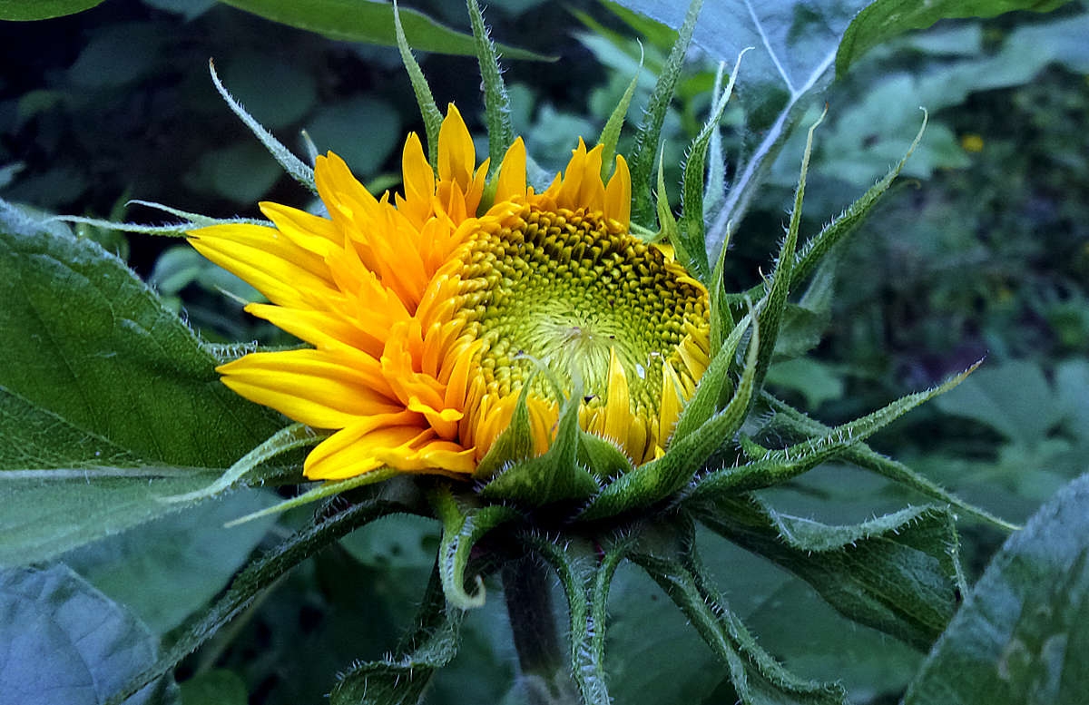 ... ����� �����  �� PhotoGeek.ru #������ ��� �������