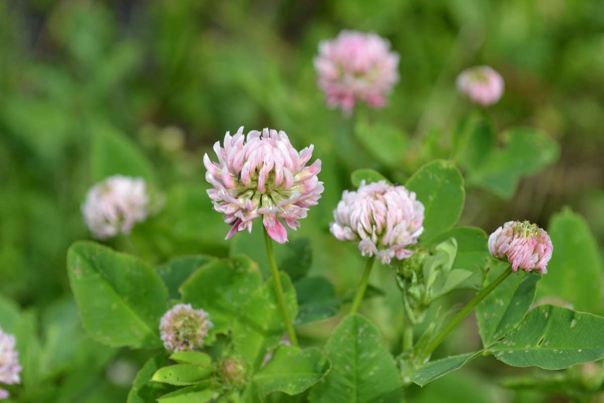 ������ ���� ����� �����  �� PhotoGeek.ru #������ ��� �������