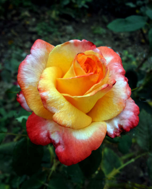 ... ����� �����  �� PhotoGeek.ru #������ ��� �������