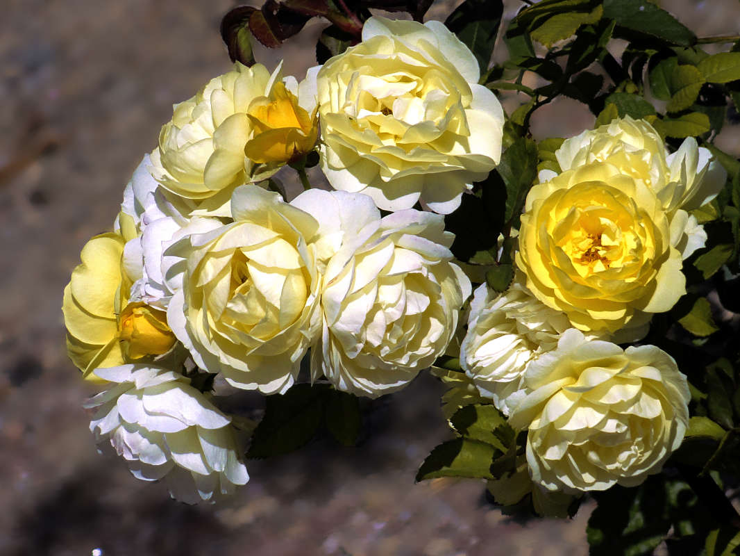 ... ����� �����  �� PhotoGeek.ru #������ ��� �������