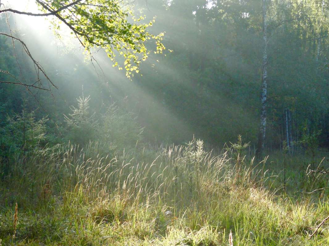 �������� �������� ����� �����  �� PhotoGeek.ru #������ ��� �������