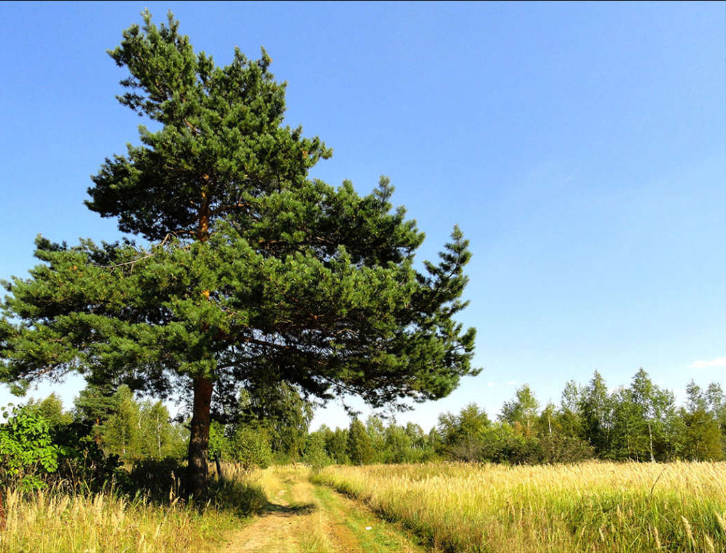 ������� � ��� ����� �����  �� PhotoGeek.ru #������ ��� �������