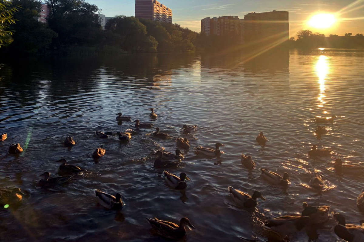 ��������� ���� ����� �����  �� PhotoGeek.ru #������ ��� �������