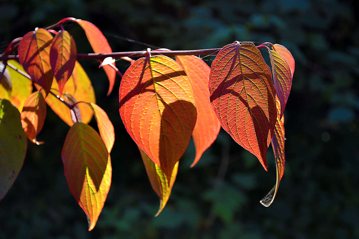 ������� ����� ����� �����  �� PhotoGeek.ru #������ ��� ������� #����� �������������� #���������