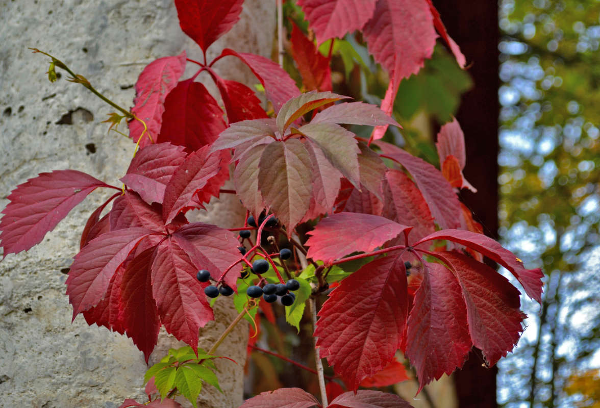 �������  �������� ����� �����  �� PhotoGeek.ru #������ ��� �������