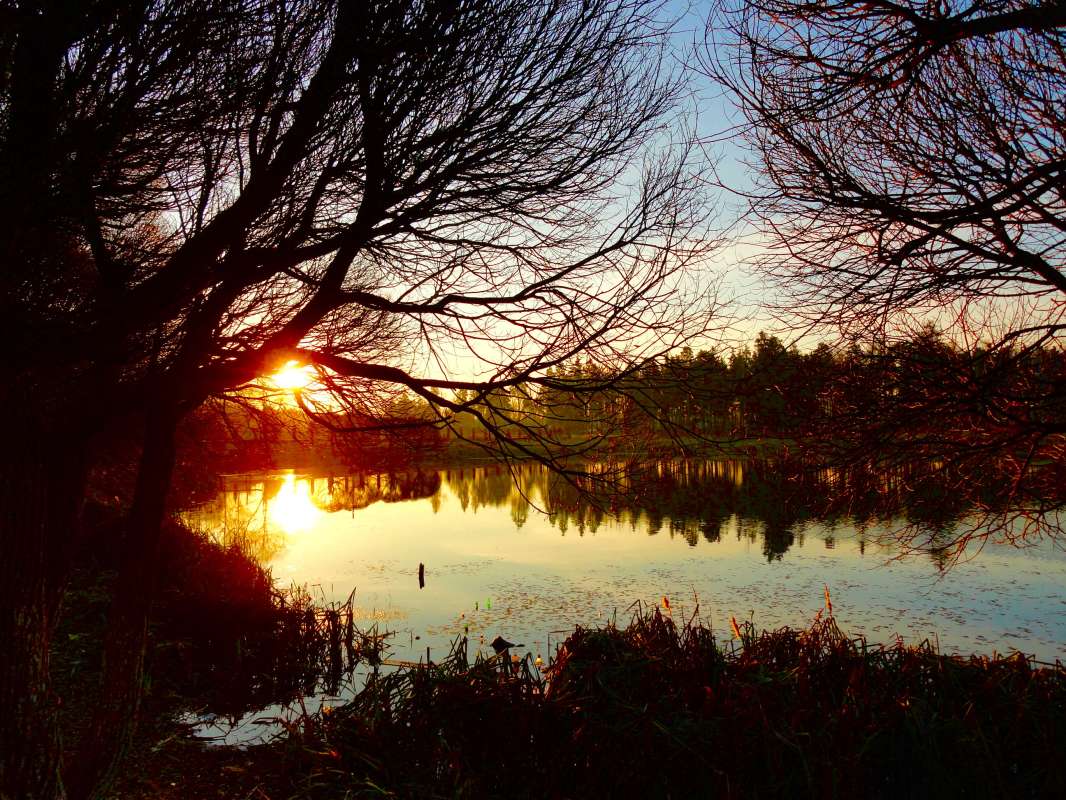 ������� ���� ����� �����  �� PhotoGeek.ru #������ ��� �������