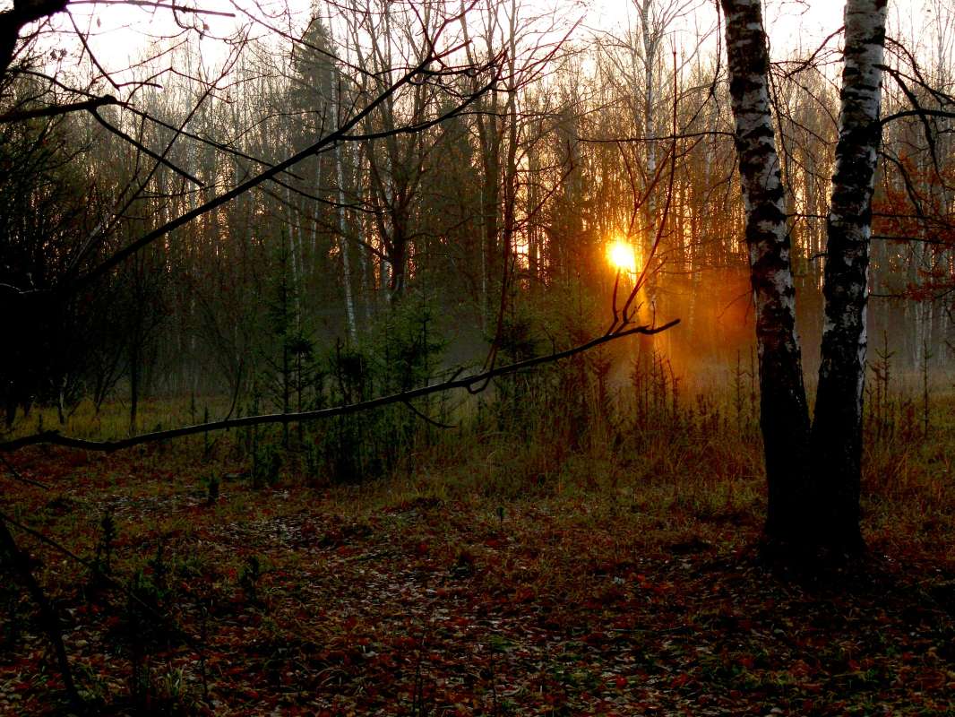 ������� ���� ����� �����  �� PhotoGeek.ru #������ ��� �������