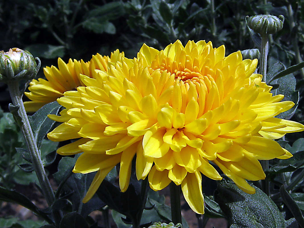 ... ����� �����  �� PhotoGeek.ru #������ ��� �������