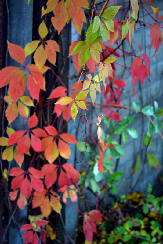 ������ ����� �����  �� PhotoGeek.ru #������ ��� �������