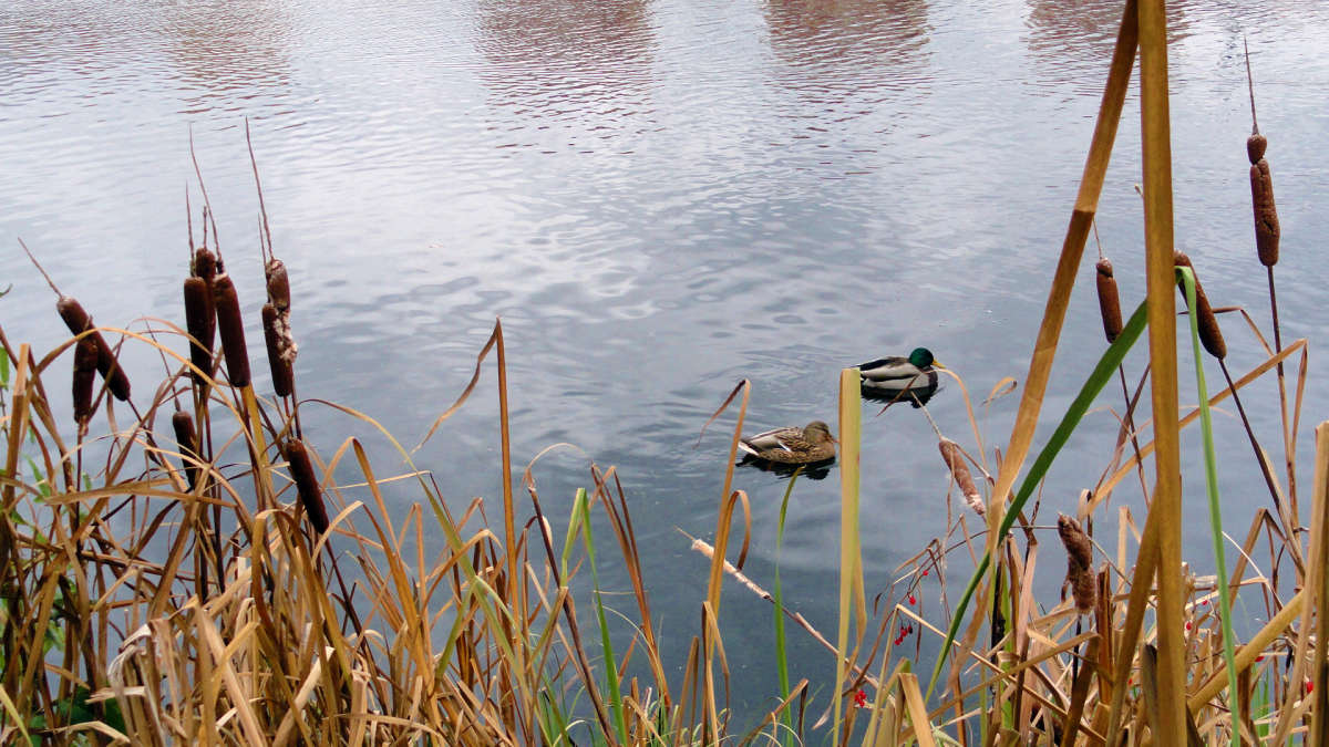 ���� ����� �����  �� PhotoGeek.ru #������ ��� �������