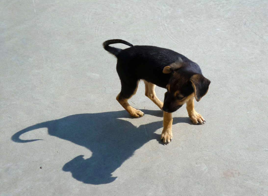 ����,���� ���� ����� ����� �����  �� PhotoGeek.ru #�������� ���