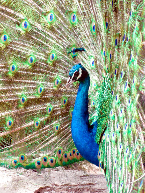 ... ����� �����  �� PhotoGeek.ru #������ ��� �������