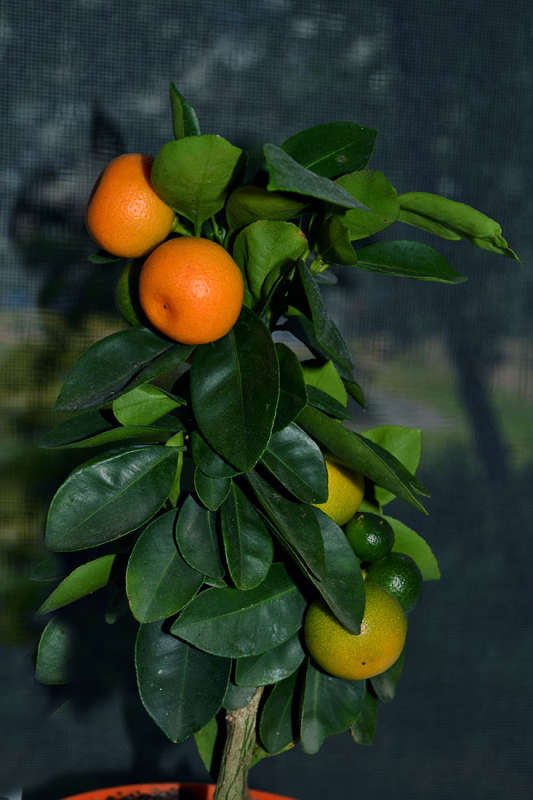 �������� ����� �����  �� PhotoGeek.ru #������ ��� �������