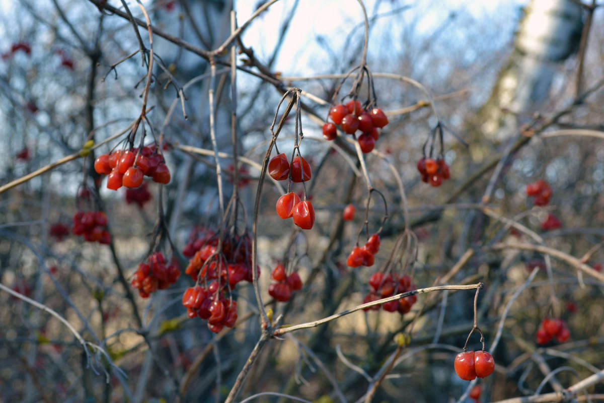 ������ ����� �����  �� PhotoGeek.ru #������ ��� �������