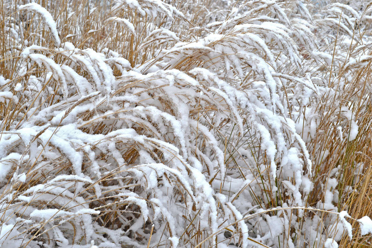 ... ����� �����  �� PhotoGeek.ru #������ ��� �������