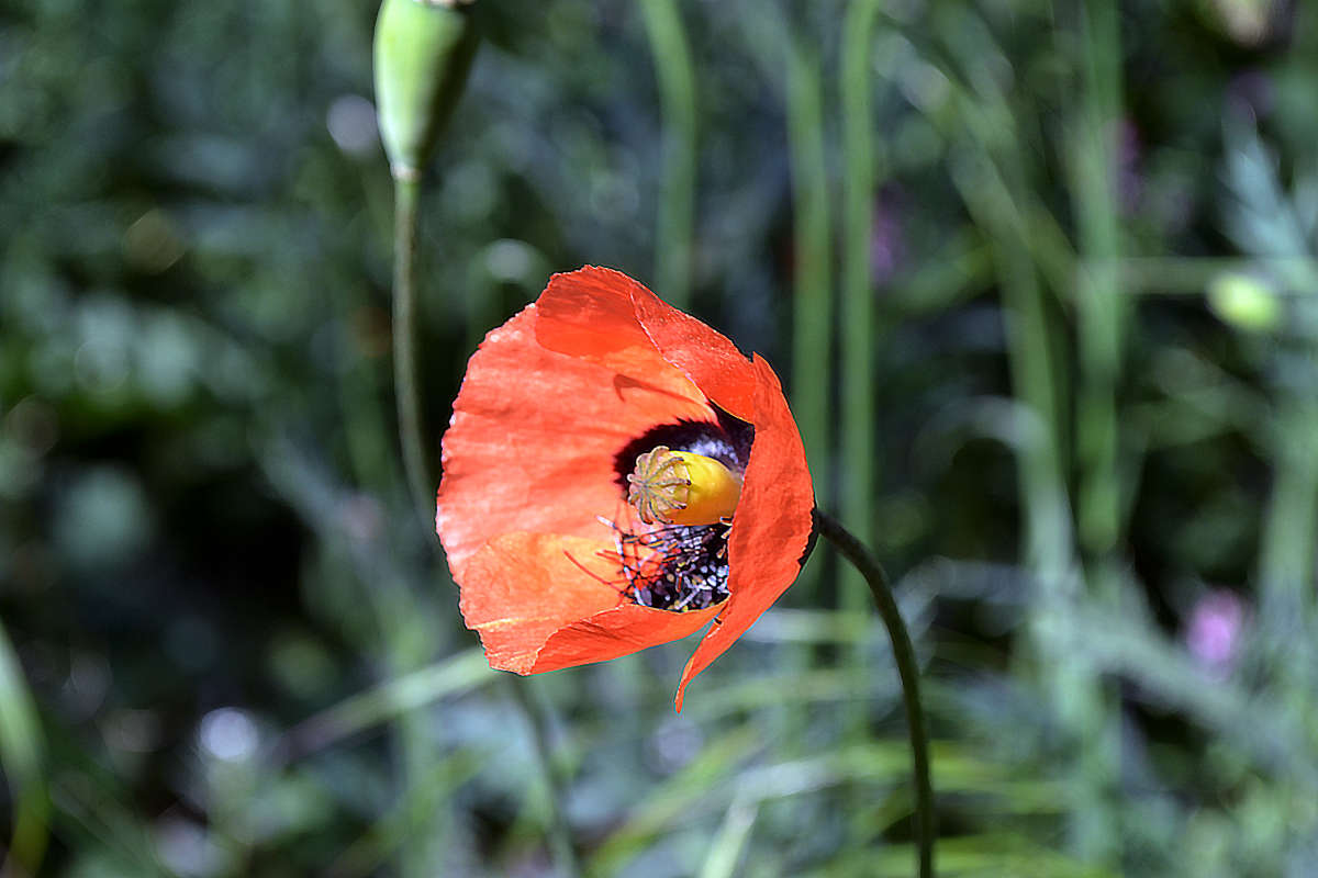 ��� ����� �����  �� PhotoGeek.ru #������ ��� ������� #����� �������������� #���������