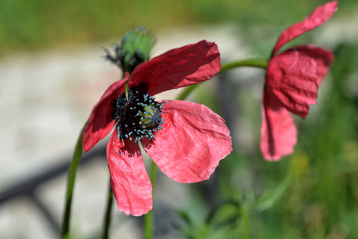 ���� ����� �����  �� PhotoGeek.ru #������ ��� ������� #����� �������������� #���������