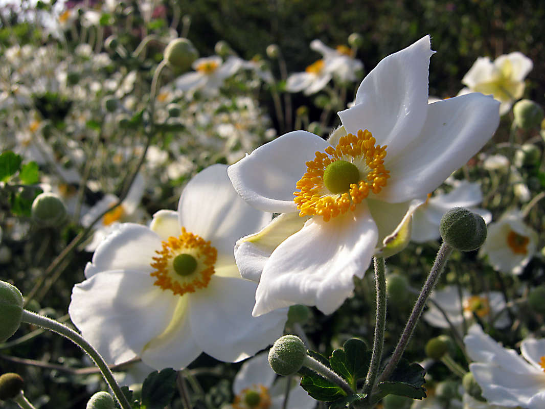 ������� ����� �����  �� PhotoGeek.ru #������ ��� ������� #����� �������������� #���������