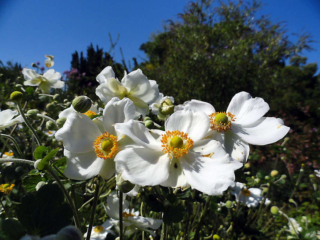 ������� ����� �����  �� PhotoGeek.ru #������ ��� ������� #����� �������������� #���������