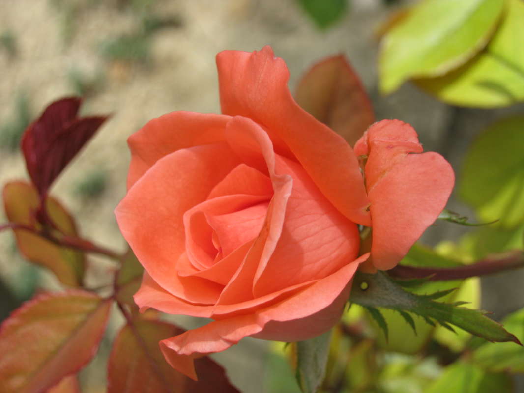 ���� ����� �����  �� PhotoGeek.ru #������ ��� ������� #����� �������������� #���������