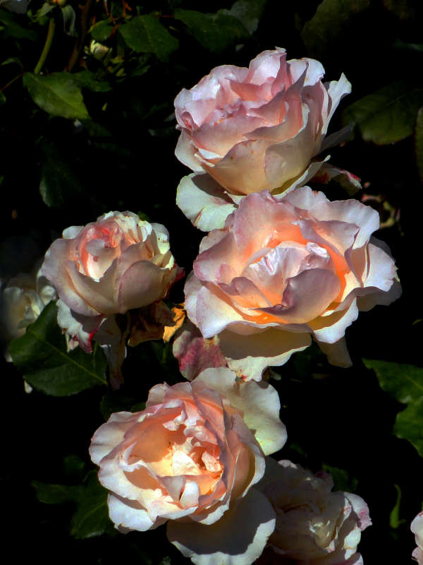 ���� ����� �����  �� PhotoGeek.ru #������ ��� ������� #����� �������������� #���������