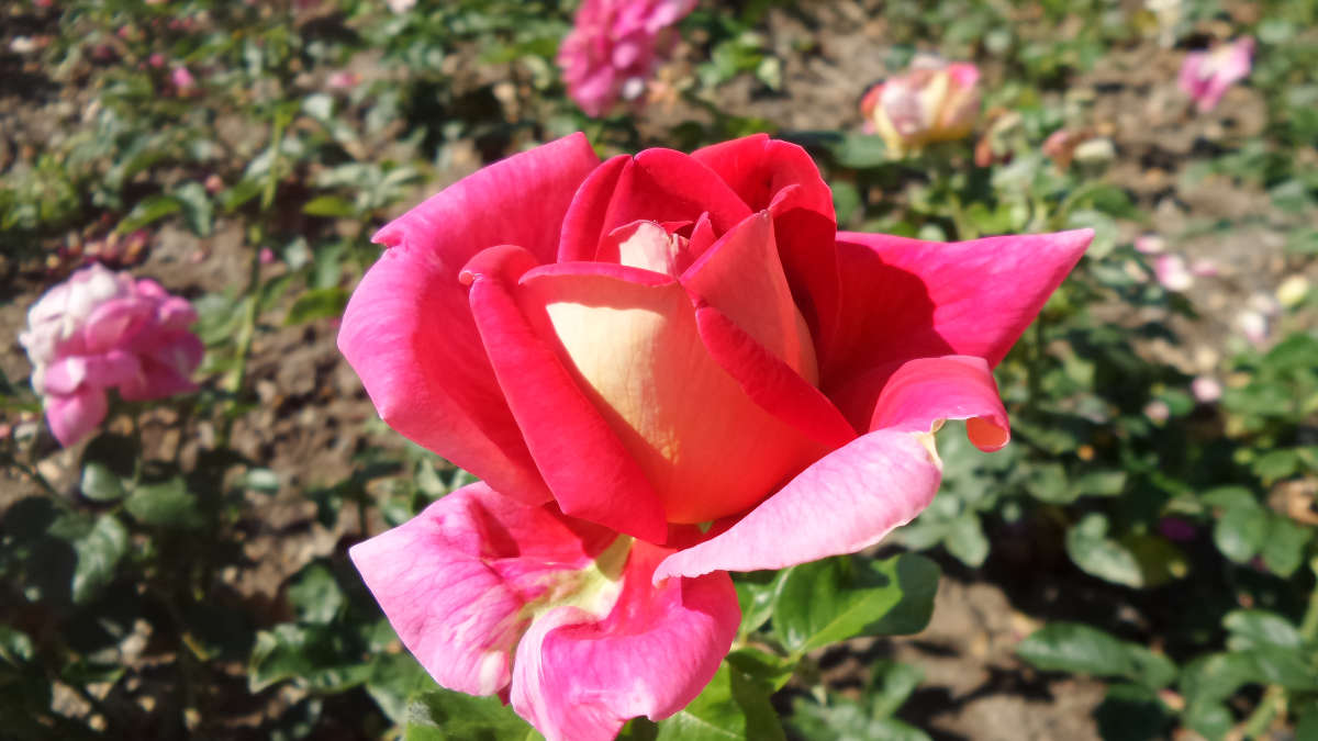 ���������� ����� �����  �� PhotoGeek.ru #������ ��� ������� #����� �������������� #���������