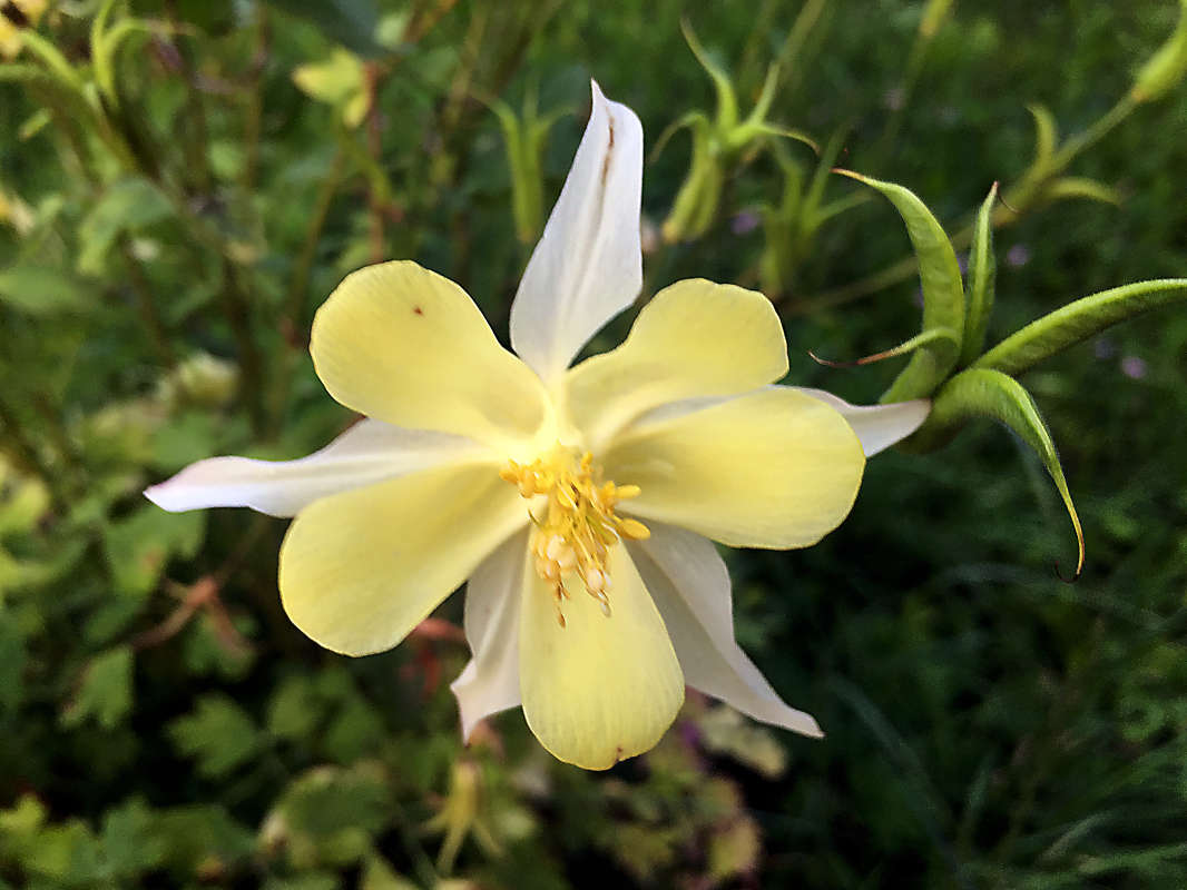 ��������� ����� �����  �� PhotoGeek.ru #������ ��� ������� #����� �������������� #���������