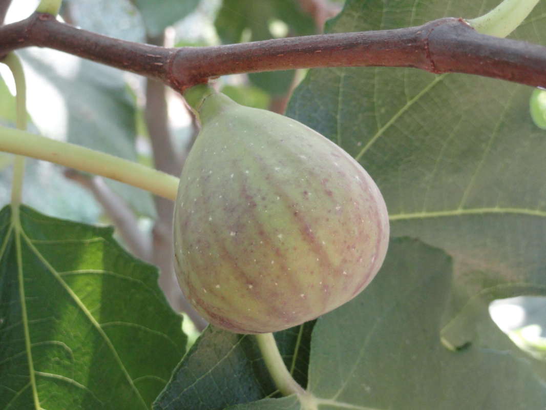 ����� ����� �����  �� PhotoGeek.ru #������ ��� ������� #����� �������������� #���������