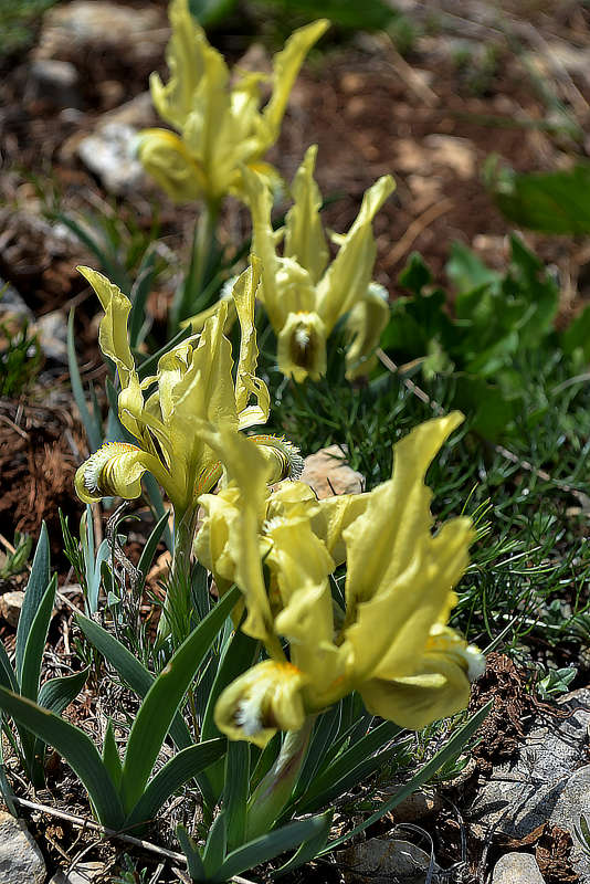 ����� ����� ����� �����  �� PhotoGeek.ru #������ ��� ������� #����� �������������� #��������� #������