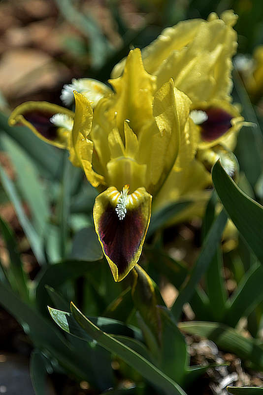   -     PhotoGeek.ru #   #  # #