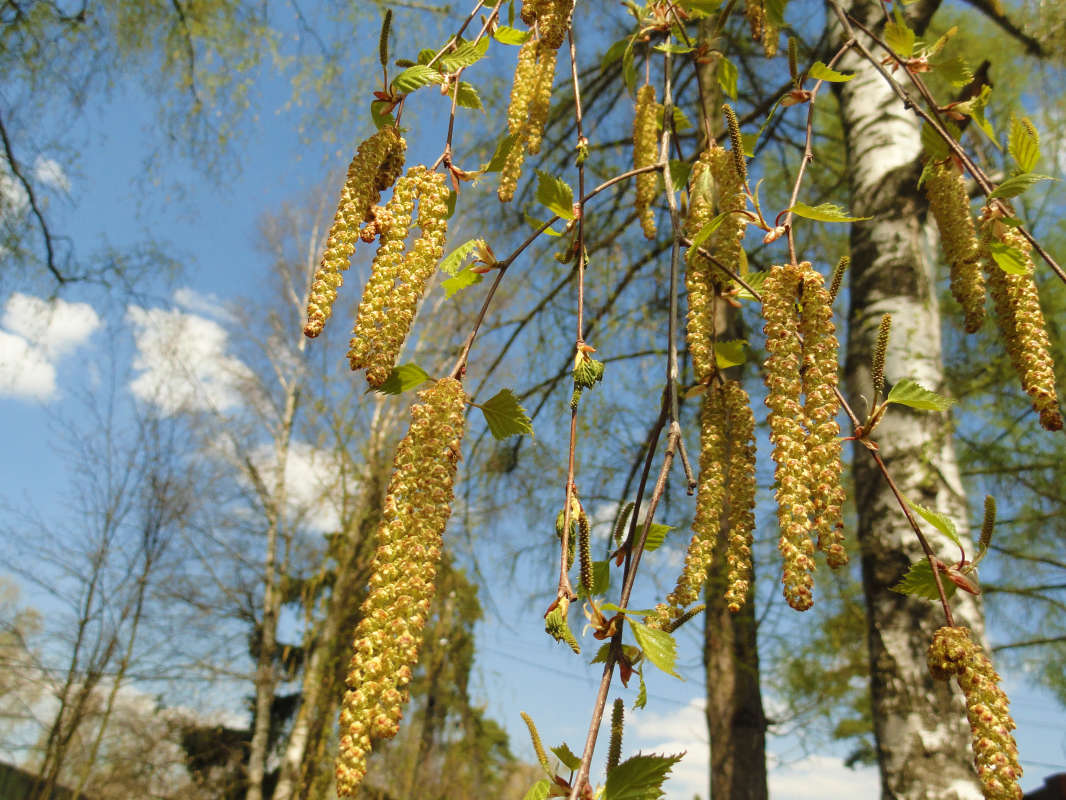 ������ ����� �����  �� PhotoGeek.ru #������ ��� �������