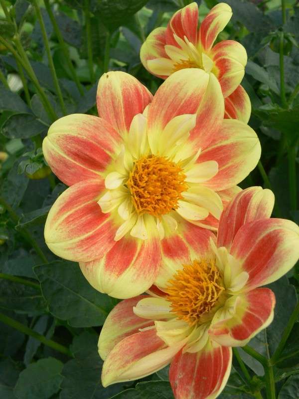 ��������� ����� ����� ����� ������ �� PhotoGeek.ru #������ ��� ������� #����� �������������� #����� ��������