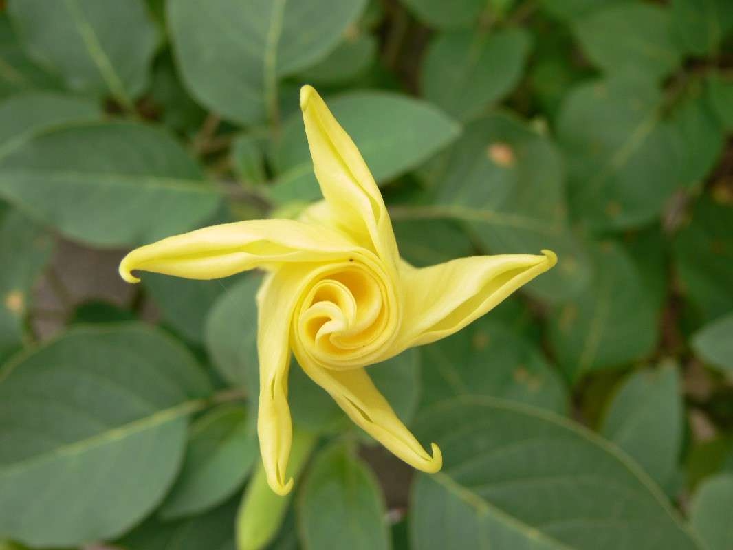 ��������� ������� ����� ����� ������ �� PhotoGeek.ru #������ ��� ������� #����� ��������������