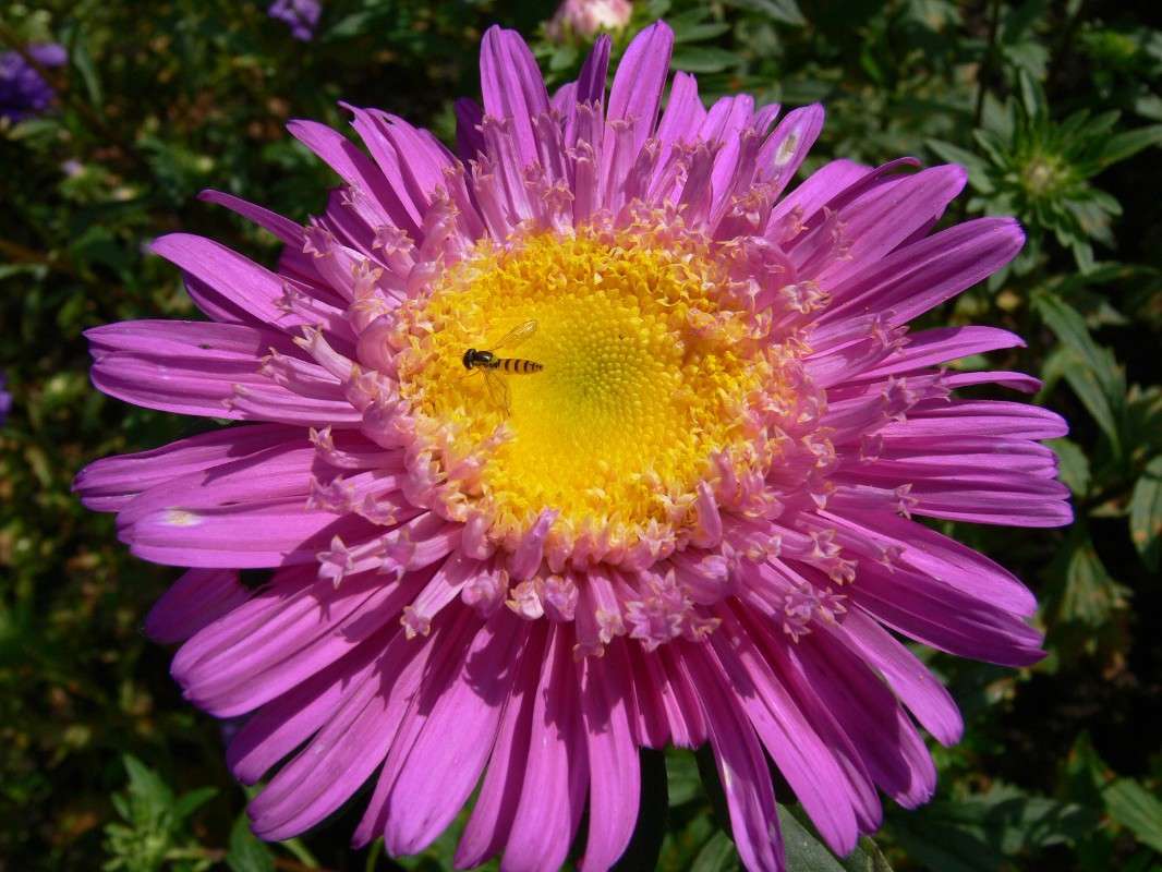 ������� ����� ����� ����� ������ �� PhotoGeek.ru #������ ��� ������� #����� �������������� #��������� #����� ��������