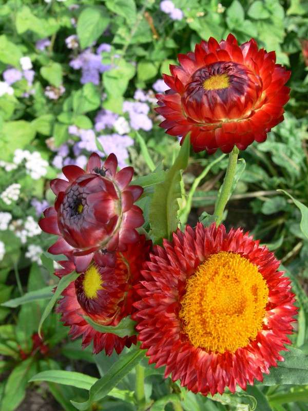 ����� �����? ����� ����� ������ �� PhotoGeek.ru #������ ��� ������� #����� �������������� #����� ��������