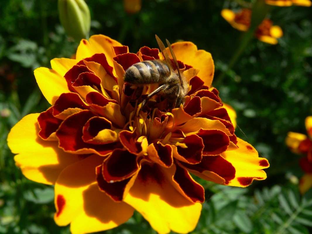 ��� � ��� ��� �� ����? ����� ����� ������ �� PhotoGeek.ru #�������� ��� #������ ��� ������� #����� �������������� #����� ��������