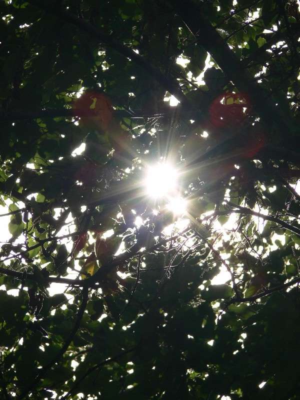 ��� ������ � ������� ������ ����� ����� ������ �� PhotoGeek.ru #������ ��� ������� #����� �������������� #��������� #����� ��������