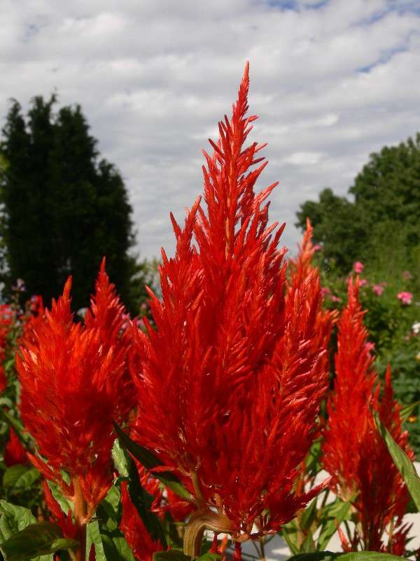 ��������� �������� ����� ����� ������ �� PhotoGeek.ru #������ ��� ������� #����� �������������� #��������� #����� ��������