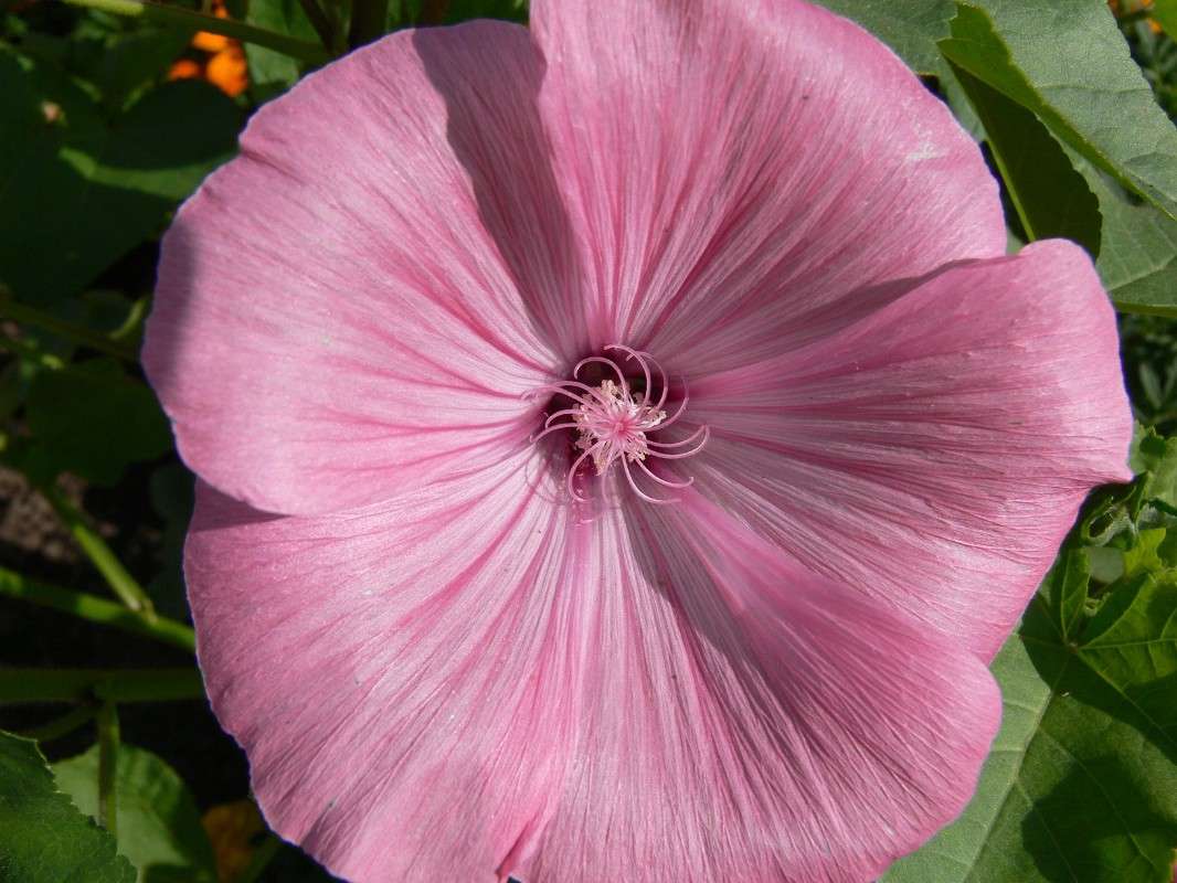 �����-������... ����� ����� ������ �� PhotoGeek.ru #������ ��� ������� #����� �������������� #����� ��������