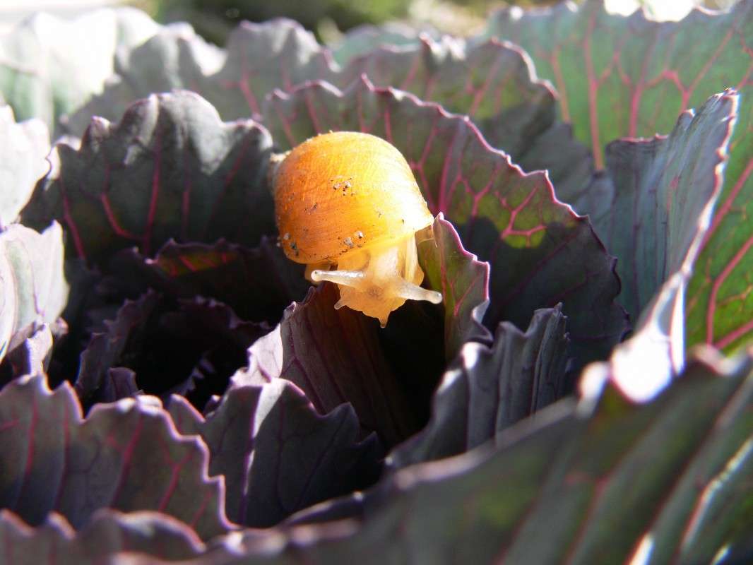 ���� � ���� ������� �����? ����� ����� ������ �� PhotoGeek.ru #������ ��� ������� #����� �������������� #����� ��������