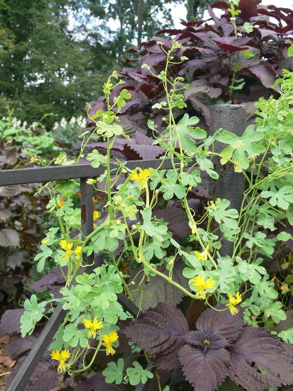 ������� ��� �� ���������! ����� ����� ������ �� PhotoGeek.ru #����� #������ ��� ������� #��������� ������ #����� ��������