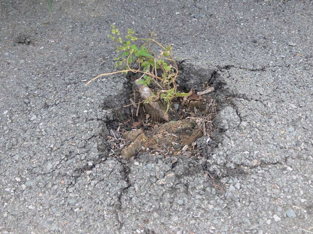 ������� ���� ����� ����� ����� ������ �� PhotoGeek.ru #����� #������ ��� ������� #��������� ������ #����� ��������