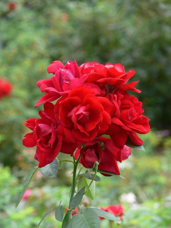 �����! ����� ����� ������ �� PhotoGeek.ru #������ ��� ������� #����� �������������� #����� ��������