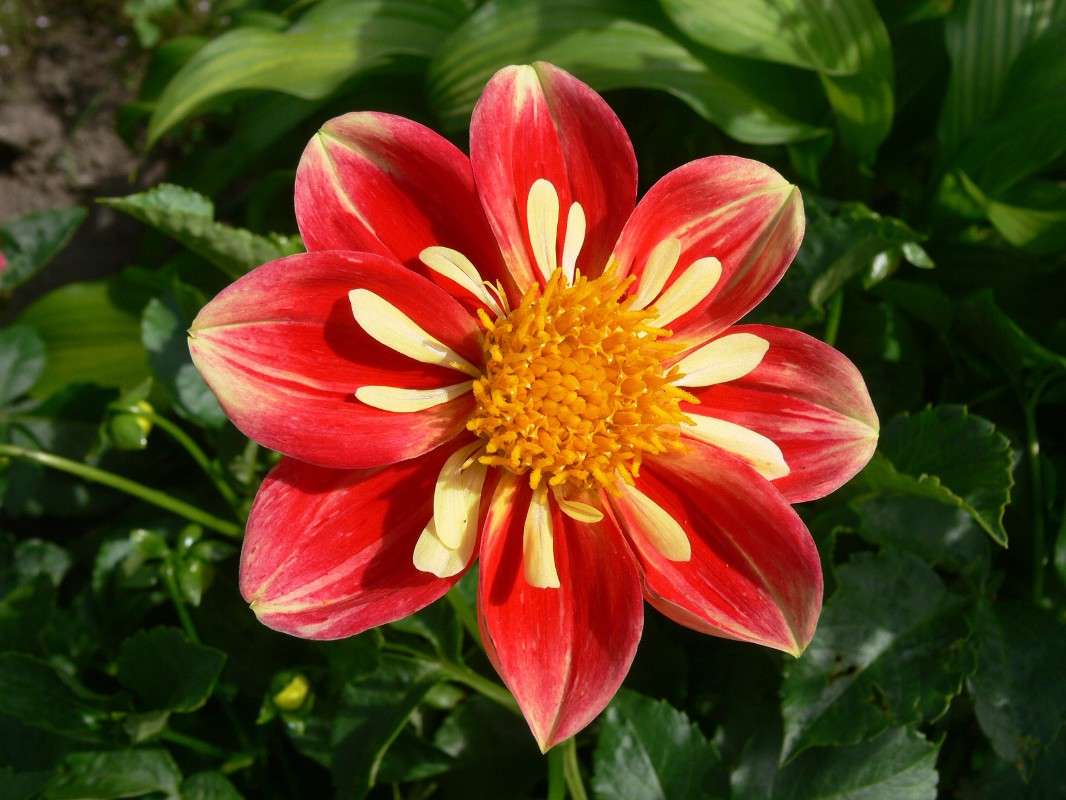 ������� ��������� ����� ����� ������ �� PhotoGeek.ru #������ ��� ������� #����� �������������� #��������� #����� ��������