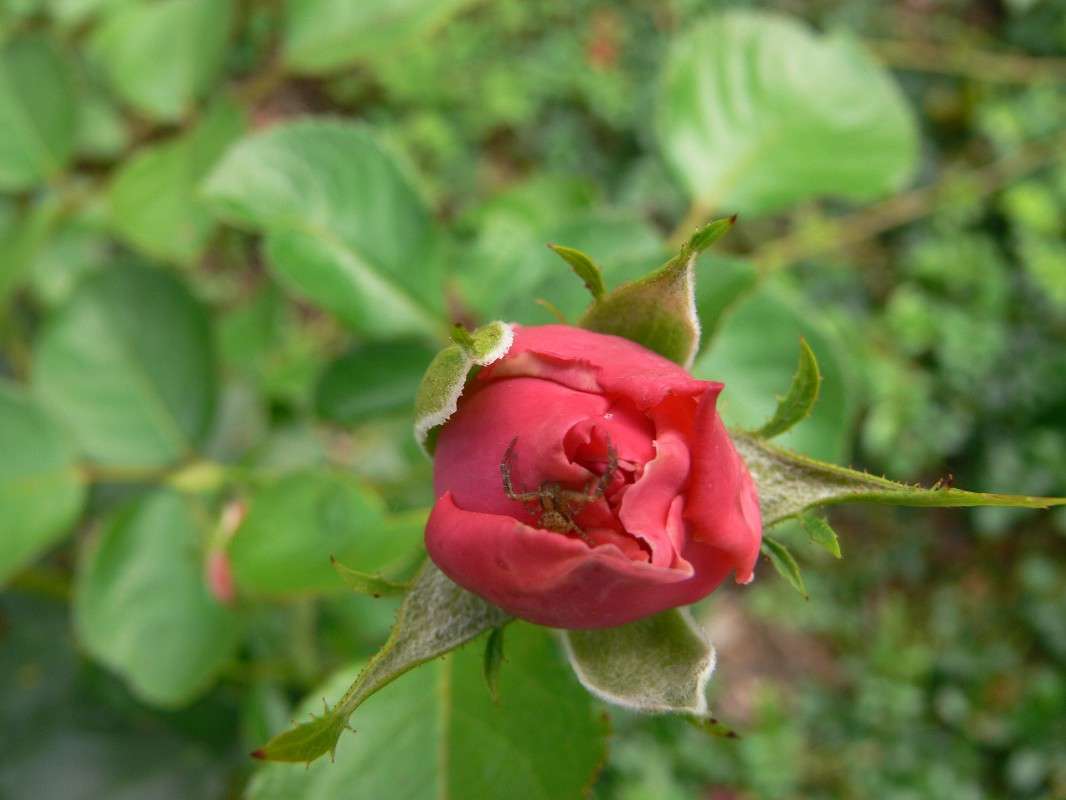 ���! ����� ����� ������ �� PhotoGeek.ru #������ ��� ������� #����� �������������� #����� ��������