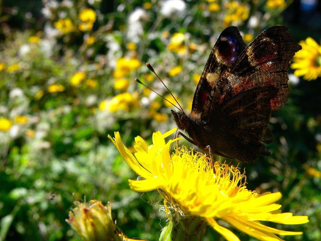 ������ ���������� ����� ����� ������ �� PhotoGeek.ru #����� #������ ��� ������� #����� �������������� #��������� #��������� #����� ��������